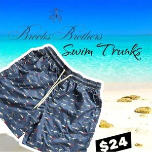 Brooks Brothers Navy Swimmer Patterned Swim Trunks, Size Large